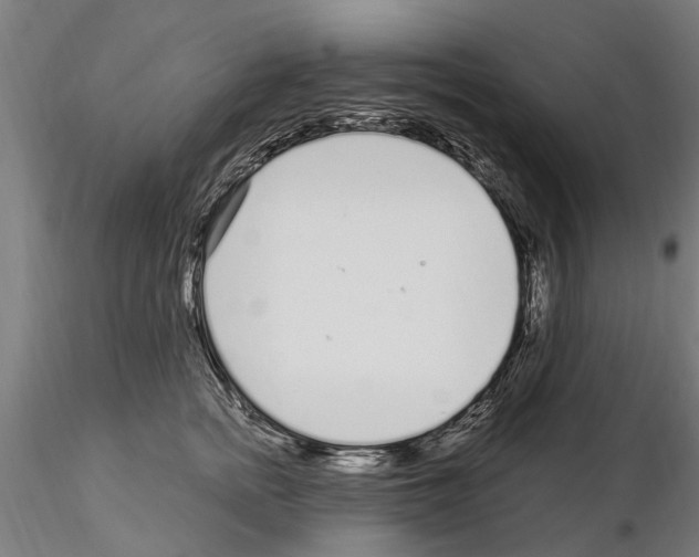 X0000115220758200912091220