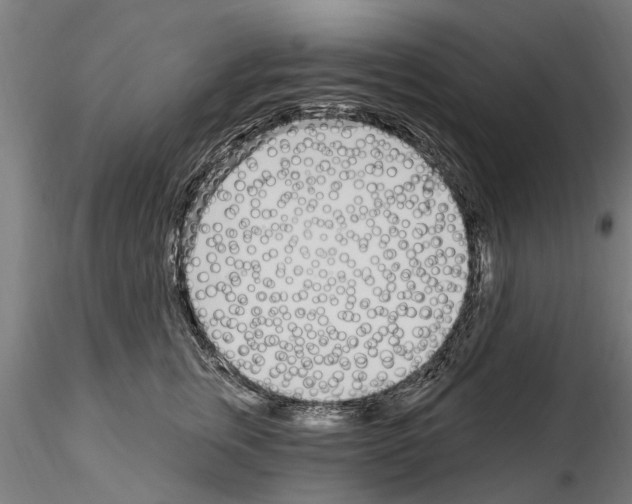 X0000115220759200912091220