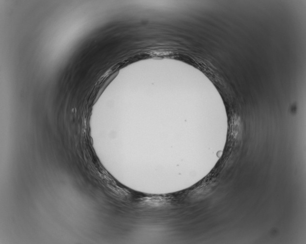 X0000115220763200912091220
