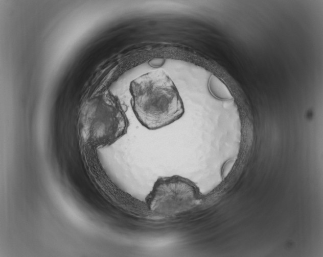 X0000115220765200912091220