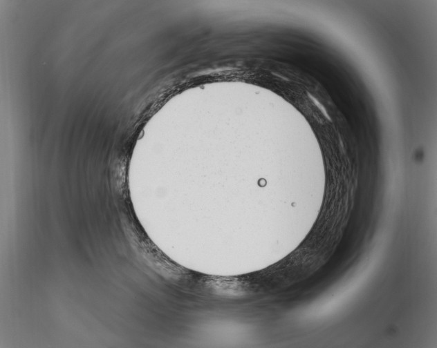 X0000115220767200912091220