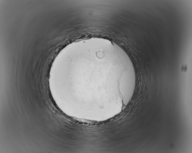 X0000115220769200912091220