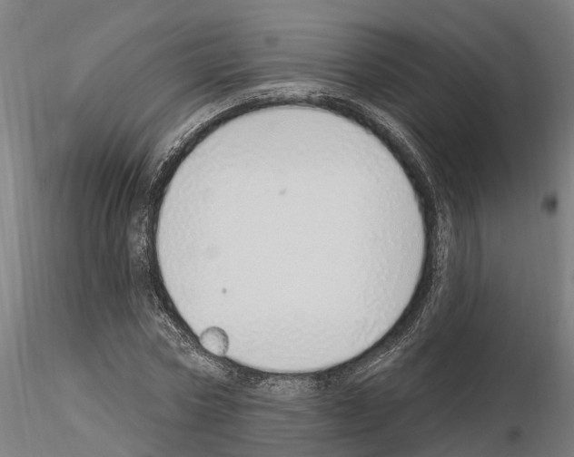 X0000115220778200912091219