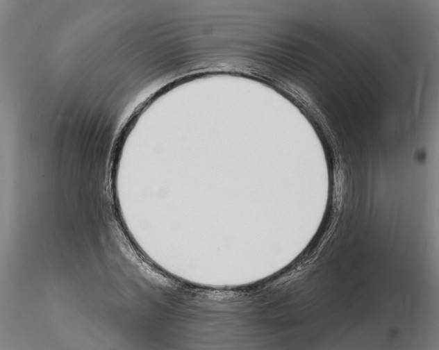 X0000115220780200912091219