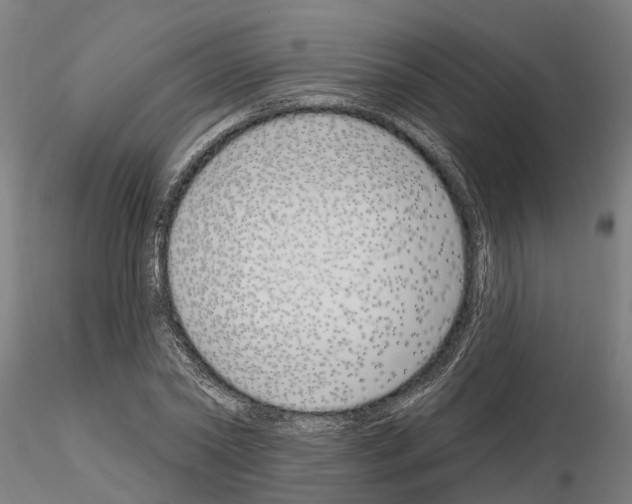 X0000115220782200912091219