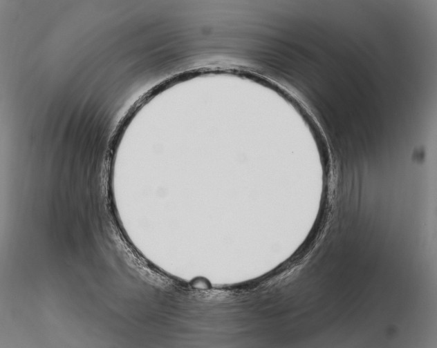 X0000115220783200912091219