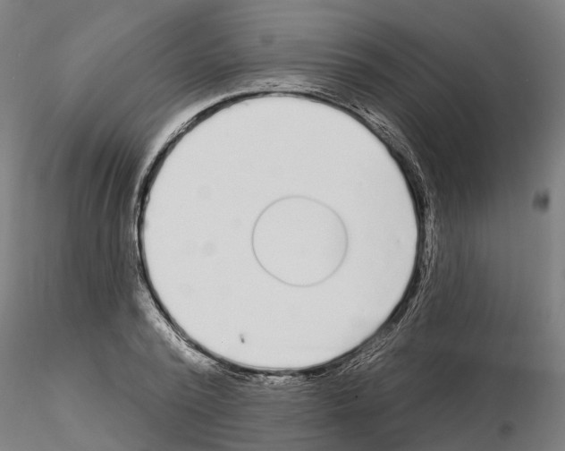 X0000115220784200912091219