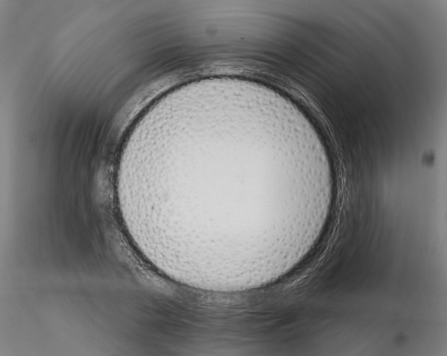 X0000115220786200912091219