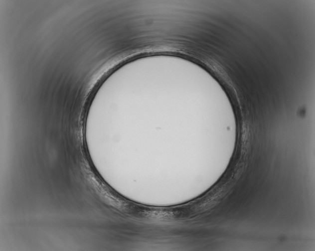 X0000115220789200912091219