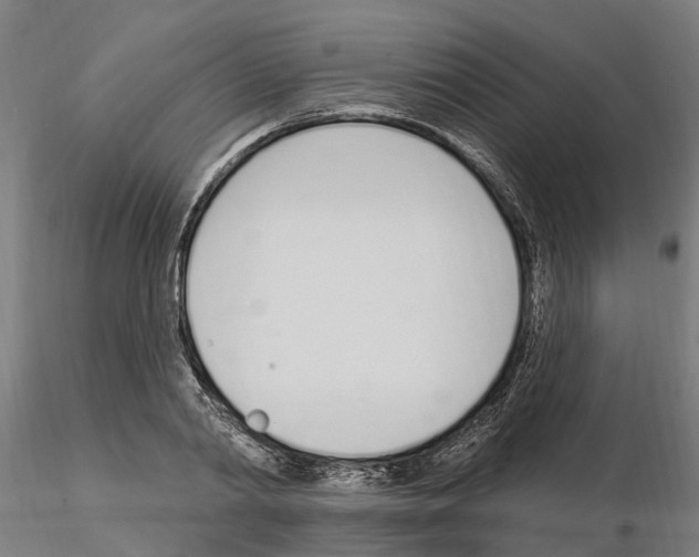 X0000115220790200912091219