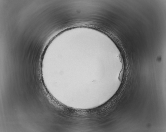 X0000115220792200912091219
