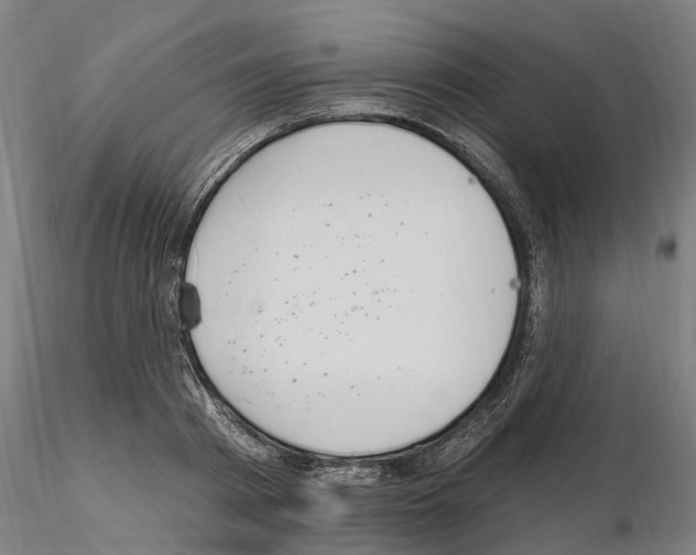 X0000115220793200912091219