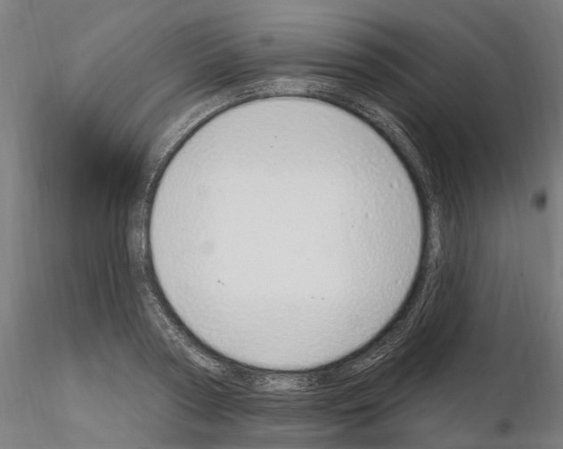 X0000115220794200912091219