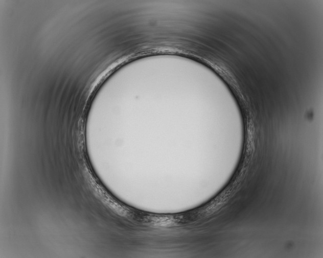X0000115220798200912091219