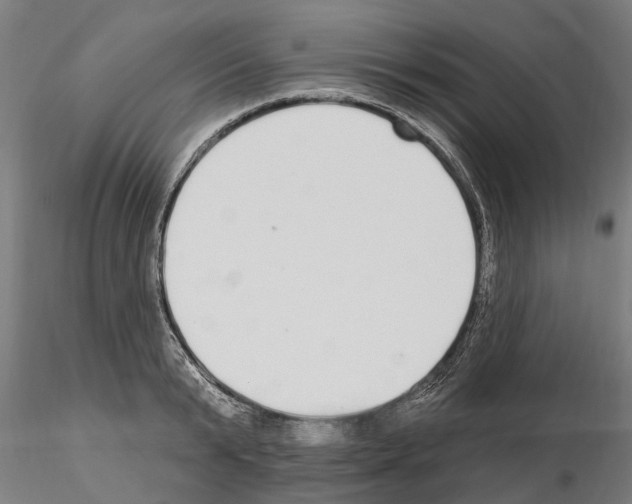 X0000115220799200912091219