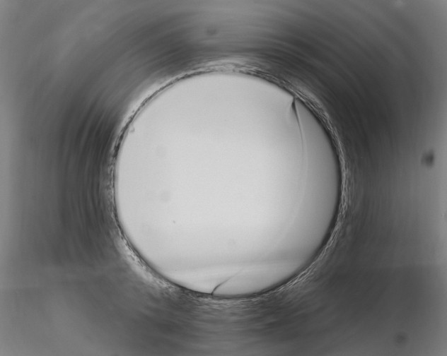 X0000115220800200912091219