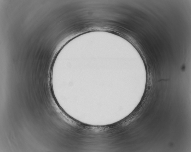 X0000115220803200912091219
