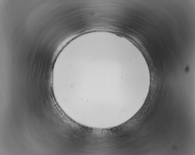 X0000115220804200912091219