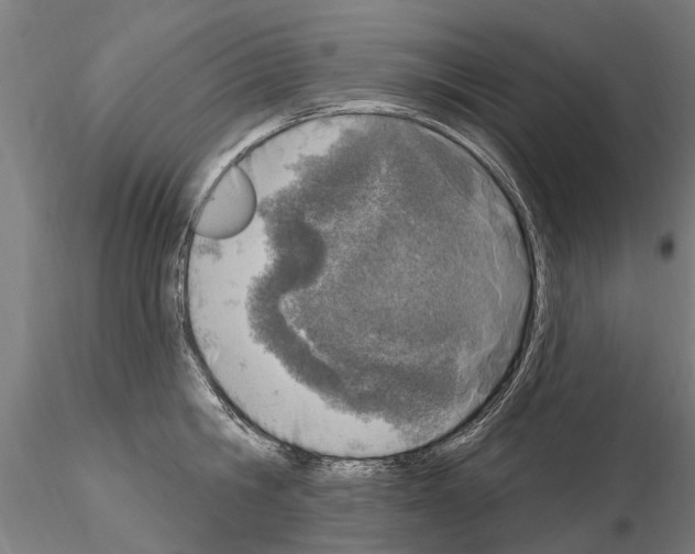 X0000115220806200912091219