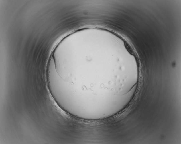 X0000115220807200912091219