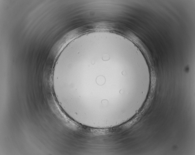 X0000115220810200912091219