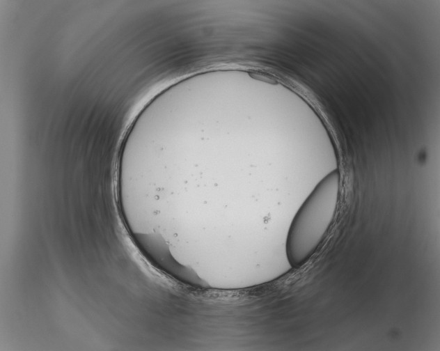 X0000115220811200912091219