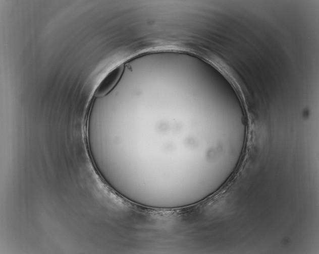 X0000115220813200912091219