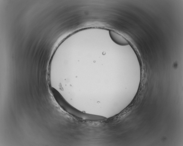 X0000115220815200912091219