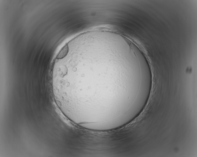 X0000115220816200912091219