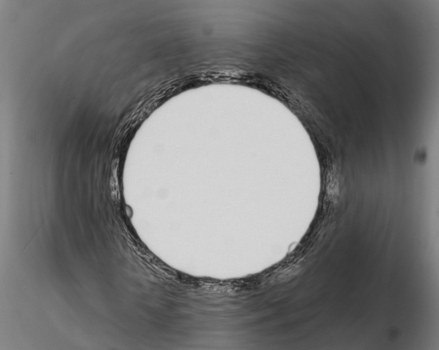 X0000115220818200912091218