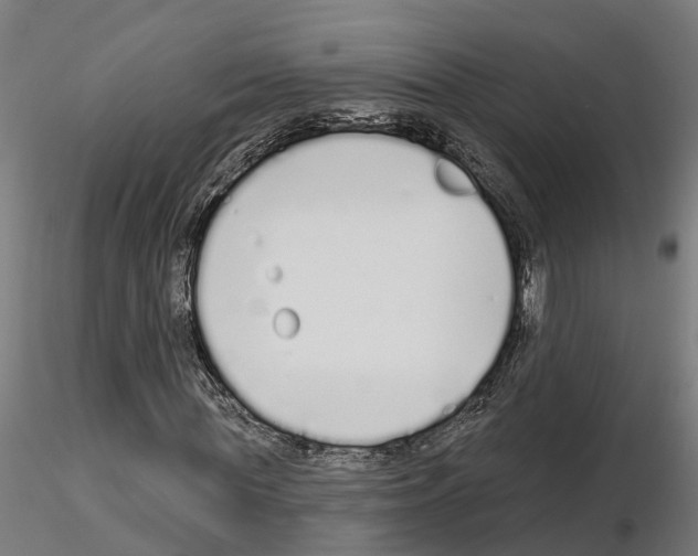 X0000115220819200912091218