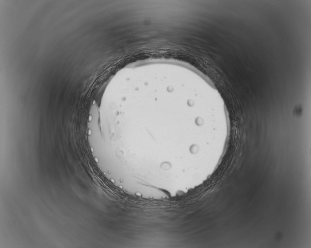 X0000115220820200912091218