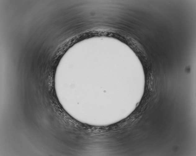 X0000115220821200912091218