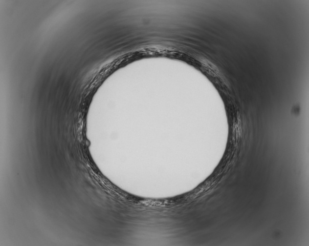 X0000115220822200912091218