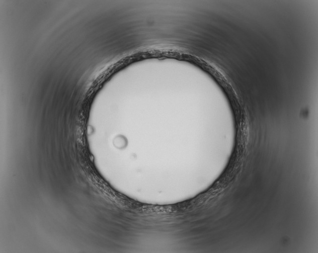 X0000115220823200912091218