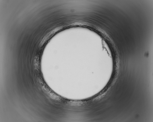 X0000115220825200912091218