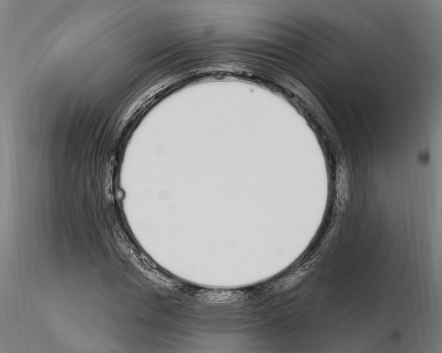 X0000115220826200912091218