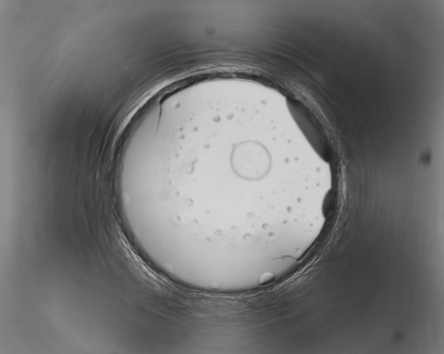 X0000115220828200912091218