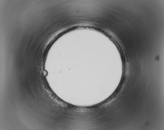 X0000115220829200912091218