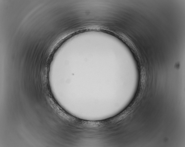 X0000115220831200912091218