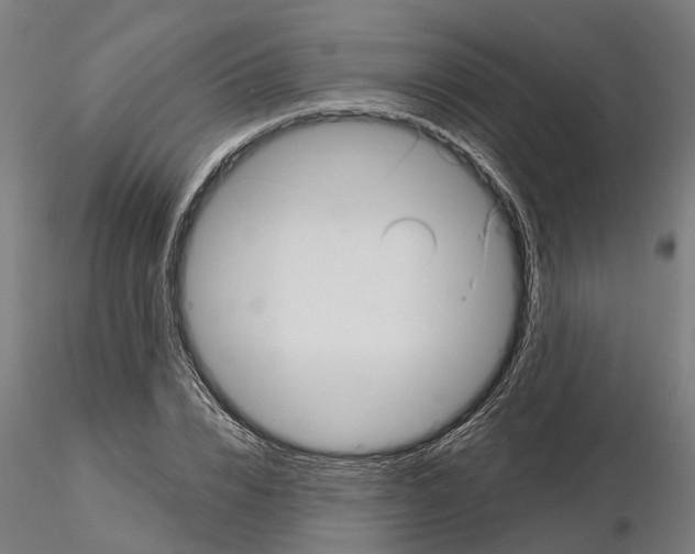 X0000115220832200912091218