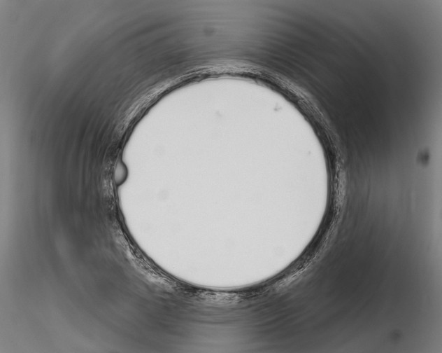 X0000115220833200912091218