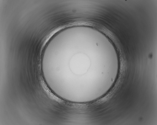 X0000115220836200912091219
