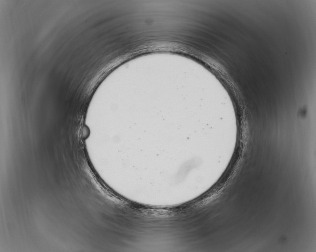 X0000115220841200912091219
