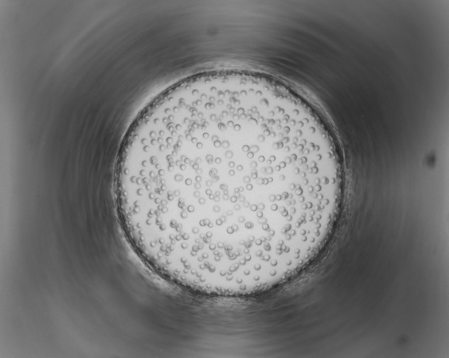 X0000115220847200912091219