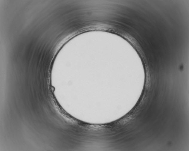 X0000115220850200912091219