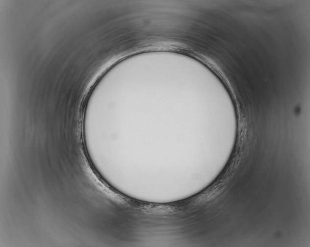 X0000115220851200912091219