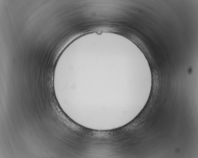 X0000115220852200912091219