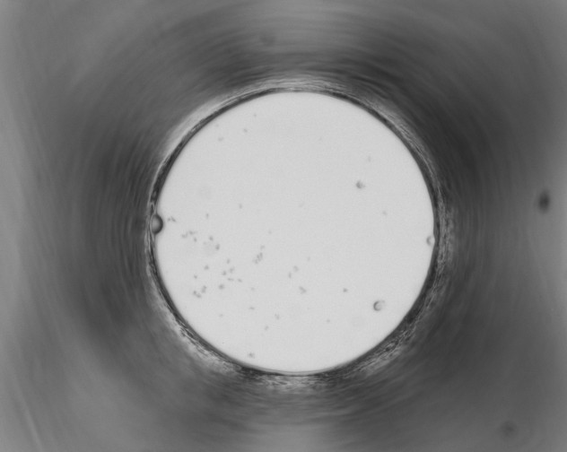 X0000115220853200912091219
