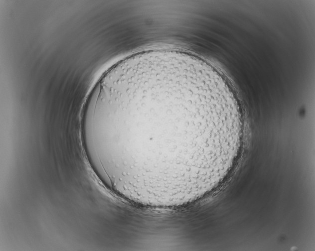 X0000115220854200912091219